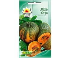 Toraf moliūgų sėklos Olga 4g
