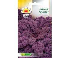 Toraf Scarlet lapinių kopūstų sėklos 1g