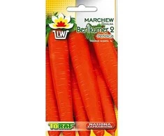 Morkų sėklos Toraf BERLIKUMER 2 5g