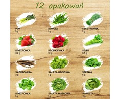Toraf TORAF Rinkinys NASION - SET 4X3 2024 TORAF 36X1SZT