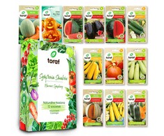 Toraf TORAF Rinkinys NASION SYMFONIA SMAKÓW - 12 OPAKOWAŃ