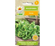 Toraf kukurūzų salotų sėklos 1 g