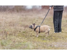 Trixie Aukščiausios kokybės „FlexMesh“ šunų petnešos, juodos, XS–S: 40–57 cm / 15 mm, tinka mopsams ir buldogams