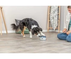 Trixie Dog Activity Buzzer, žaislas edukacyjna, šuniui, plasik, 14 � 9,5 cm
