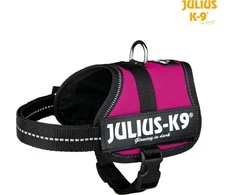 Trixie diržai Julius-K9, Mini/M: 51-67 cm, fuksija