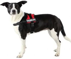 Trixie Julius- K9 sudpenders, mini / S: 40-53 cm, raudona