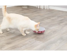 Trixie Katės veiklos supamasis labirintas, edukacinis žaislas katėms, plastikinis, 18 cm
