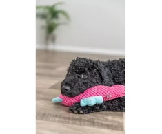 Trixie Konik jūros spalvos, žaislas, šuniui, rožinė, pluszowa, 28 cm
