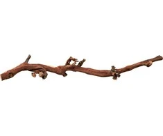 Trixie Vynmedžių 10 vienetų nuskendo 45- 70 cm