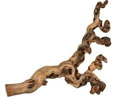 Trixie Vynmedžių lapai 6 vienetų nuskendo 55-80cm