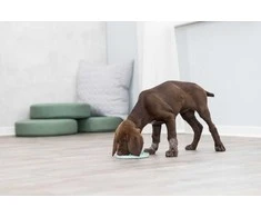 Trixie Maisto dėklas šunims Junior Licking Platforma 21cm