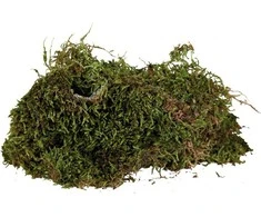 Trixie Moss, substratas drėgniems terariumams, 200 g