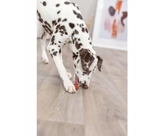 Trixie PREMIO saldainiai šunims su menke, palaidi, 9 cm/15 g, 60 vnt./pak.