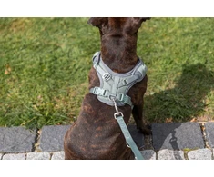 Trixie Premium FlexMesh šunų petnešos, šalavijų spalvos, S–M: 48–69 cm / 20 mm, tinka mopsams ir buldogams
