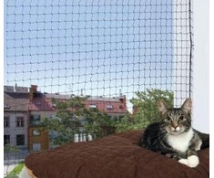 Trixie