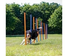 TRIXIE Agility Slalomo treniruoklis, 12 stulpų, 115 cm, plastikas, 3206