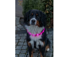 Trixie Šviečiantis antkaklis USB, šunims, silikoninis, M–L: 50 cm/30 mm, rožinis (TX-12676)