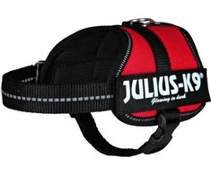 Trixie Petnešos Julius-K9, Mini/M: 51–67 cm, raudonos sp.