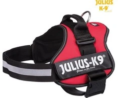 Trixie Petnešos šuniui 2XL/3: 82–116 cm/50 mm, raudona