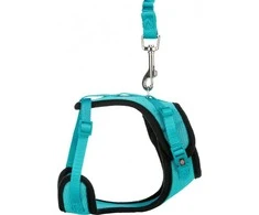 Trixie Y tinklo petnešos, katėms, 39-60 cm / 10 mm, 1.00 m, įvairių spalvų, su elastingu pavadėliu