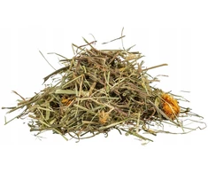 Trixie žolelių ir pievų žolelės, papildomas pašaras vėžliams, 200 g
