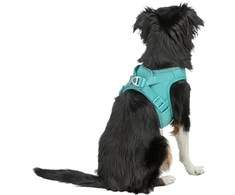 Trixie UrbanVest šunims M: 58–61 cm/20 mm aqua