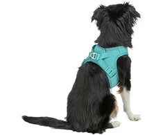 Trixie UrbanVest šunims S: 45–48 cm/20 mm aqua