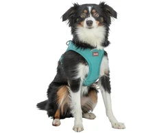 Trixie UrbanVest šunims XS–S: 41–44 cm/15 mm aqua