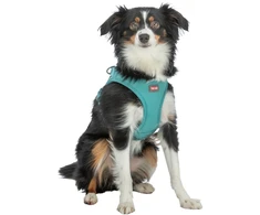 Trixie UrbanVest šunims XXS–XS: 34–37 cm/15 mm aqua