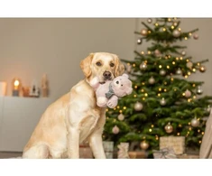 Trixie Xmas Meškiukas, žaislas, šuniui, pliušinis, 19 cm