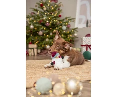 TRIXIE Xmas Kalėdų senelis, pliušas, 20 cm, su garsu (pak.3)