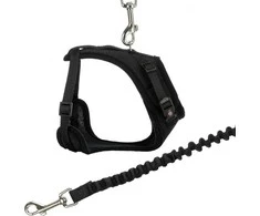 Trixie Y tinklo petnešos, katėms, 39-60 cm / 10 mm, 1.00 m, įvairių spalvų, su elastingu pavadėliu