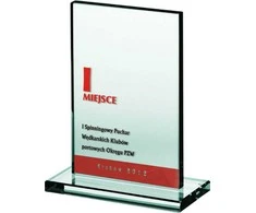 Graižytas stiklas Trophy + Užpildytas stiklas Trophy Engraved + Užpildytas dažai
