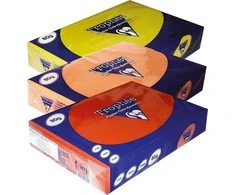 Trophee Trophee Popierius A4/80g plieno pilkas (500)