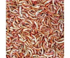 Tropical GAMMARUS PUSHKA 1000ml