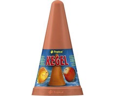 Tropical LAICHKEGEL diskams