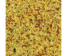 Wellensittich maistas 700 g Tropifit