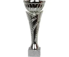 Tryumf Triumfo taurė Triumph W1751