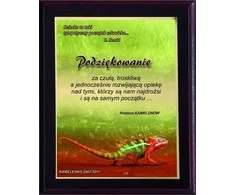 Tryumf Dirbtinis plastiko diplomas su laminato spalvotu lietimu