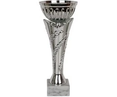 Tryumf Triumfo taurė Triumph W1751