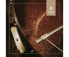 Turtle Coffee Wysocki Coffee More Robusta Kick 250g