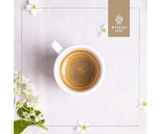 Turtle Coffee Wysocki kava „Under Control“ 250 g kavos pupelių