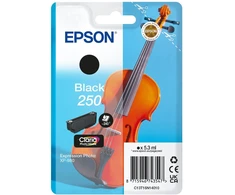 Tusz Epson 250 - 5.3 ml - juoda - original - opakowanie blistrowe - kartridż su tuszem - do P/N: C11CL95402