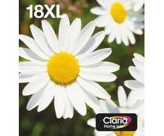 also EPSON Multipack 4 spalvų 18XL EasyMail