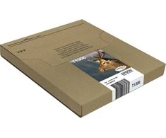 „Epson T1306 Multipack Easy Mail Packaging“ – 3 vnt. pakuotė – geltona, žydra, rausvai raudona – originali – dėžutė – rašalo kasetė – skirta „WorkForce WF-3010DW“, „WF-3530DTWF“ (C13T13064510)