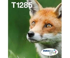 Epson T1285 EasyMail „Fox“ rašalo daugiapakopė (4 spalvų)