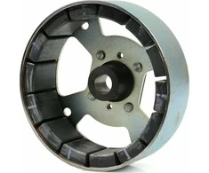 Tvardy Generatoriaus rotorius T05010 (1)