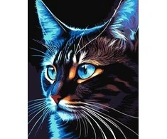 Twoje Hobby Paveikslas skaičiais - Kosmo-katė 40x50cm