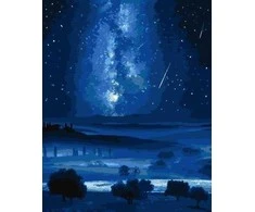 Twoje Hobby Paveikslas skaičiais - Paukščių Takas 40x50cm