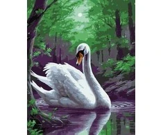 Twoje Hobby Paveikslas skaičiais - Stebuklinga gulbė 40x50cm